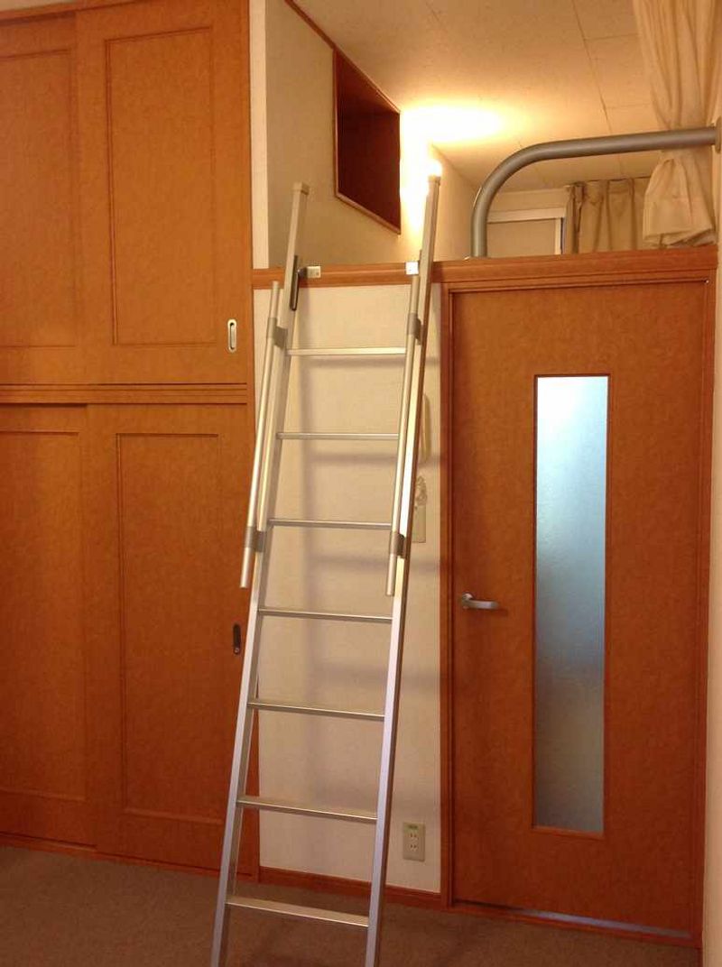 leopalace New Amuse 기타