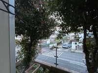 leopalace RED ECHO 전망