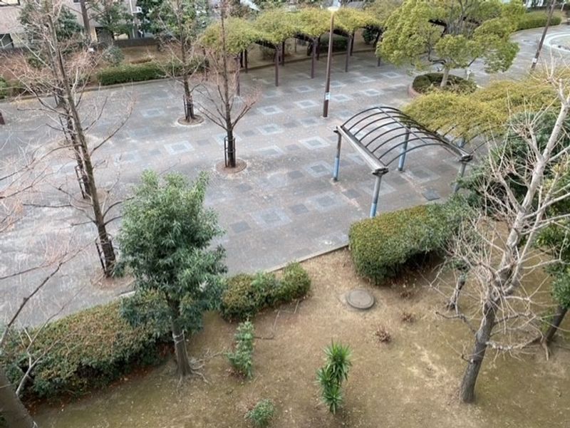 レオネクスト錦糸 眺望