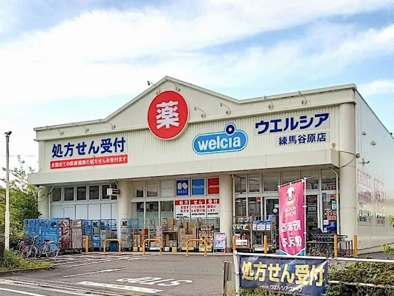 レオパレスウィステリア神田 周辺環境