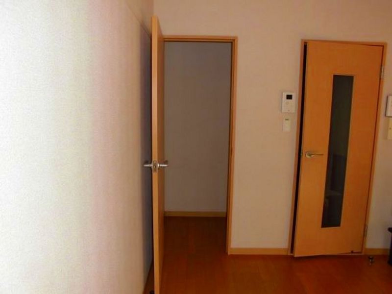 レオパレストレディア 収納