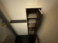 レオネクストけやき その他