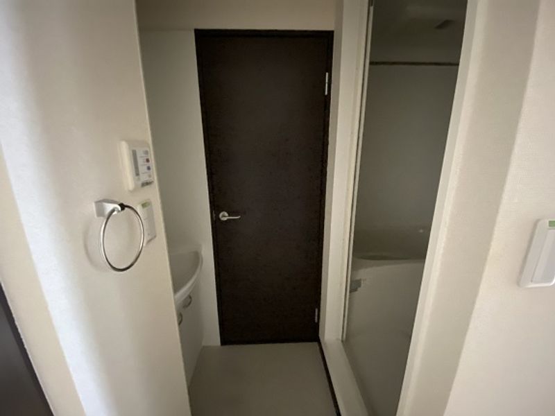 レオネクストグレイス 洗面所
