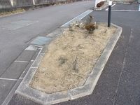 レオパレスＥｎｃｈａｎｔｅ　Ｈ 庭