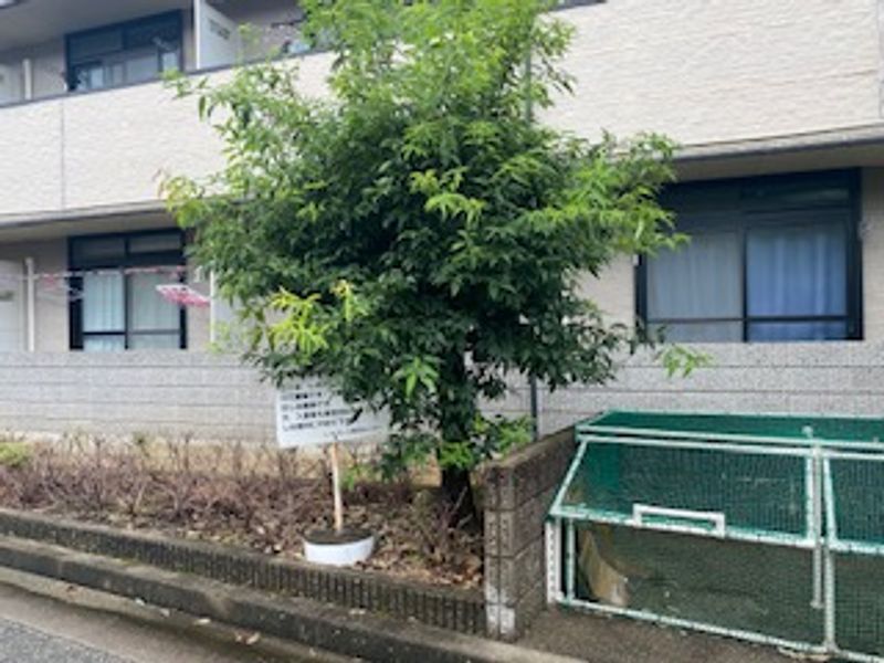 レオパレス日生ひがし 共用部分