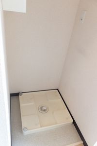 レオネクストタビィ その他