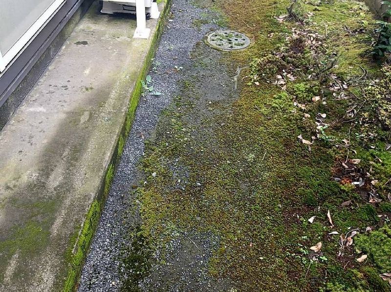 レオパレスＷｉｌｌｎｅｓｓ．Ｉ バルコニー