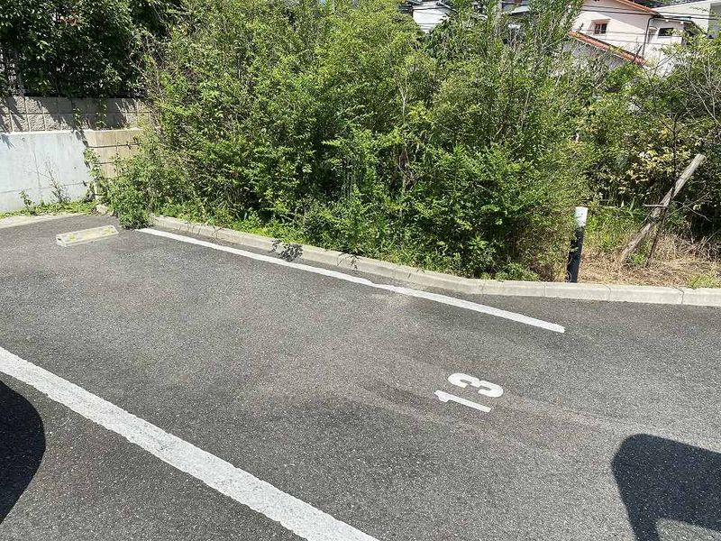 レオネクストミズキ 駐車場