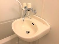 leopalace Wing Sink