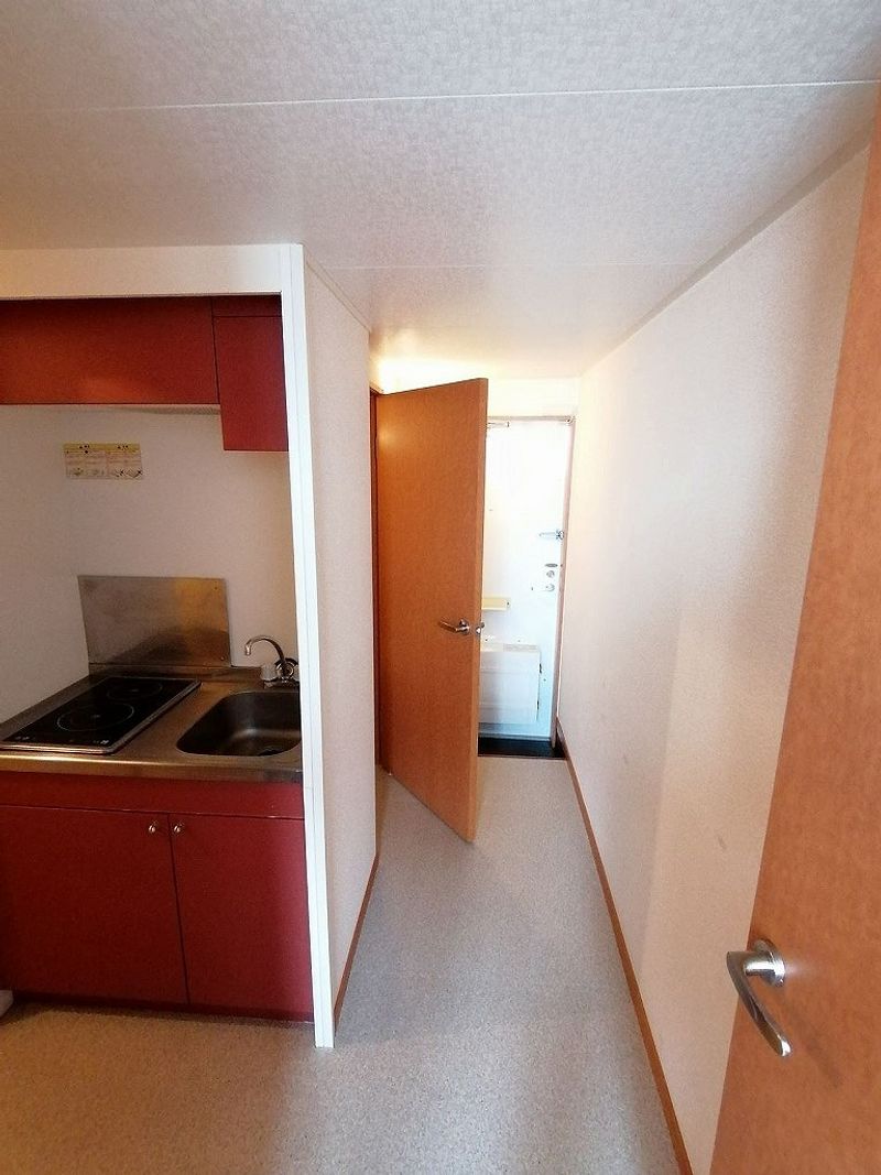 leopalace SN Blue Wood Other