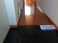 レオパレスアクセル 玄関
