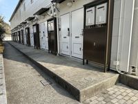 leopalace Pure 기타