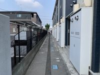 レオネクストパンプキン エントランス