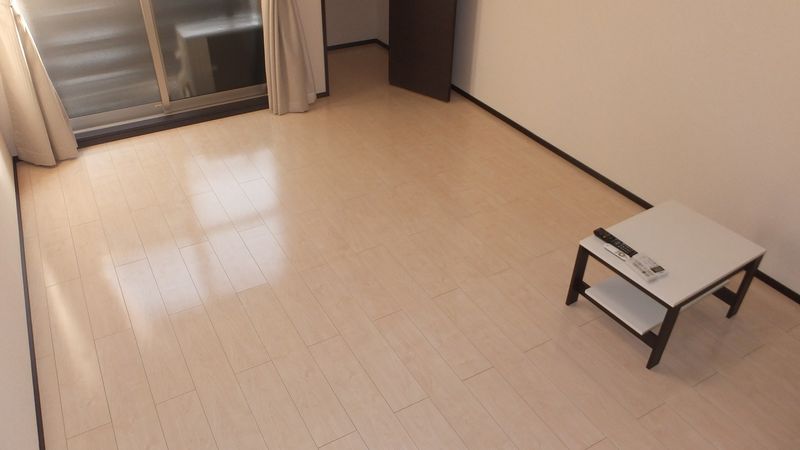 CLEINO Tea Heim Lion 거실