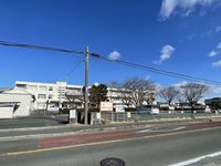 leopalace Christmas Rose Môi trường xung quanh