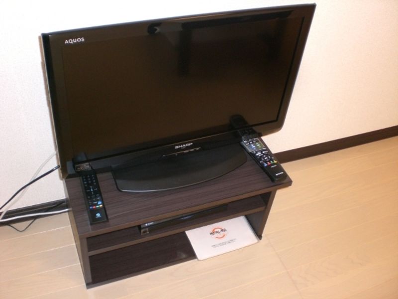 LEONEXT Yamato II 기타