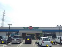 レオネクスト八代福正Ⅰ 周辺環境