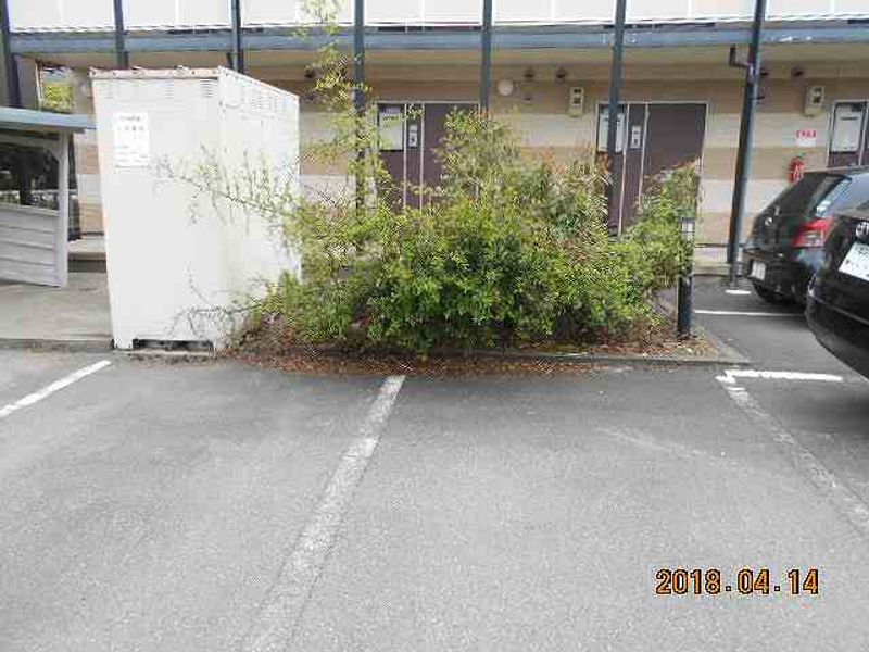 レオパレスパークハイム芦山 庭