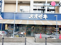 レオパレスコア 周辺環境