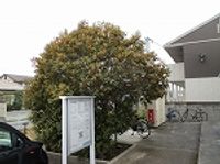 レオパレスレインボードロップス その他