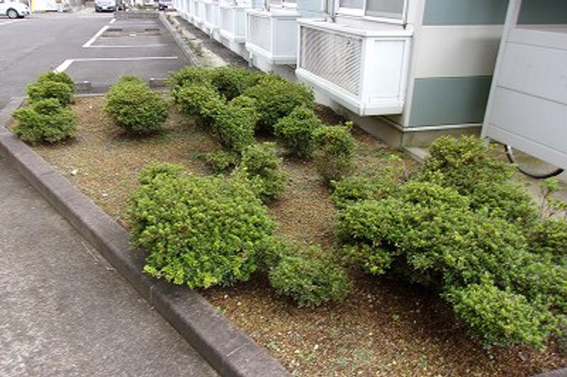 レオパレスセレルラ野田町 庭