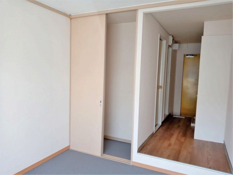 レオパレストダワンルームハイツ２ 収納