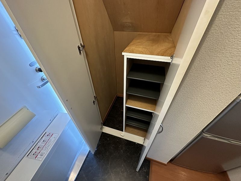 レオパレスパレスマンションⅤ 玄関