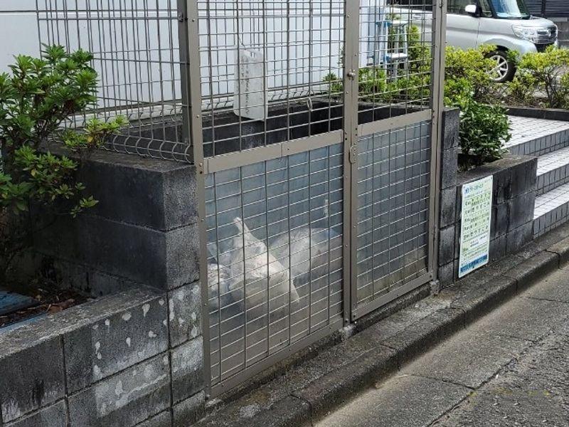 レオパレスソレイエ 共用部分