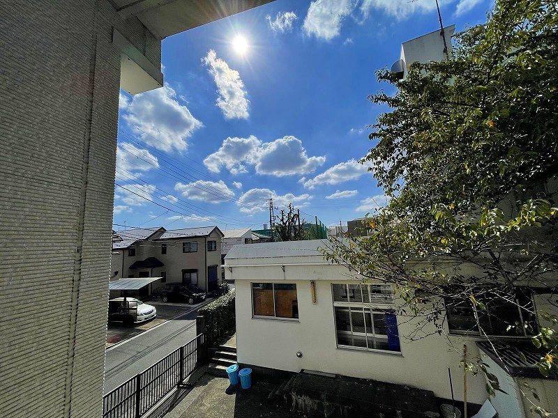 LEONEXT Domus 视野