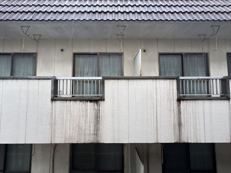 レオパレスプレステージ草加 眺望