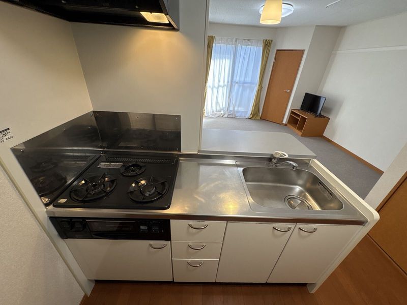 leopalace Maison Kandatsu A 주방