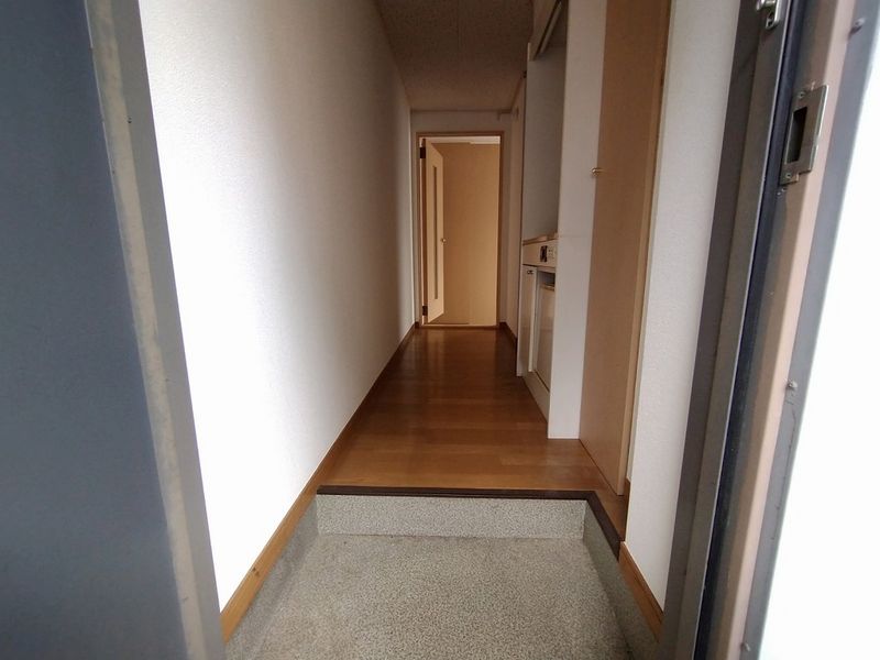 レオパレスＰＬＡＣＥ　ＩＮ　ＴＨＥ　ＳＵＮ 玄関