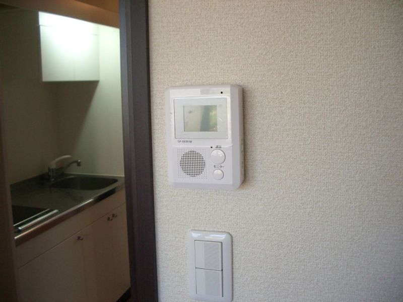 レオネクストプレイズ向ヶ丘 その他設備