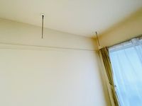 ミランダミュールⅡ その他