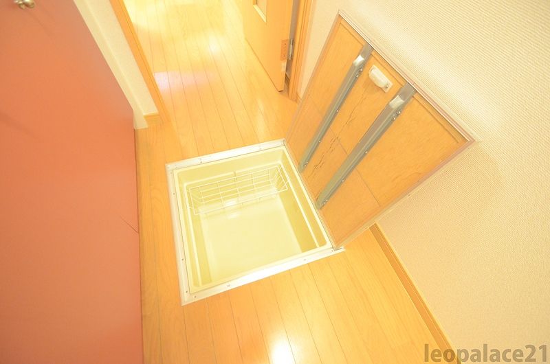 レオネクストパウダウスー その他