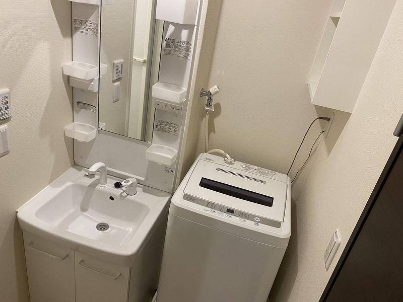 レオネクストミズキ 洗面所
