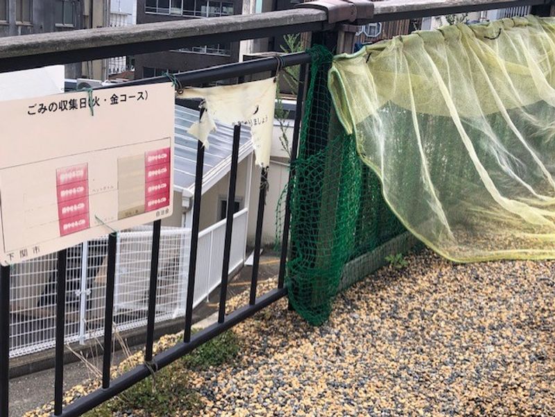 レオネクスト冨貴ヶ丘 共用部分