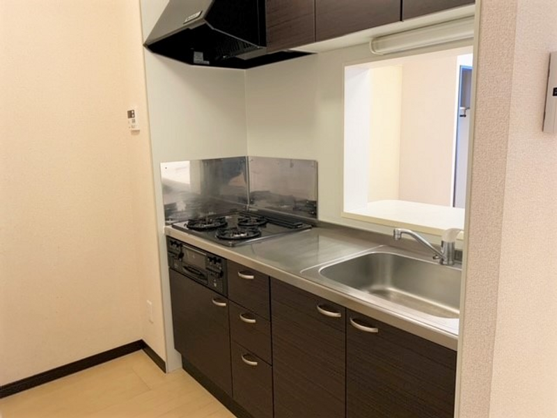 レオネクストリュウトピア キッチン