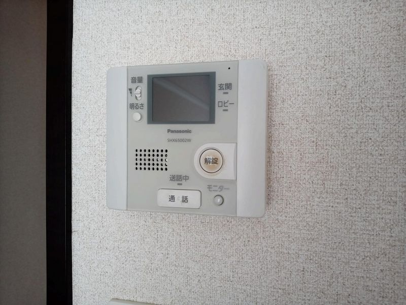 レオネクストカサミラ その他