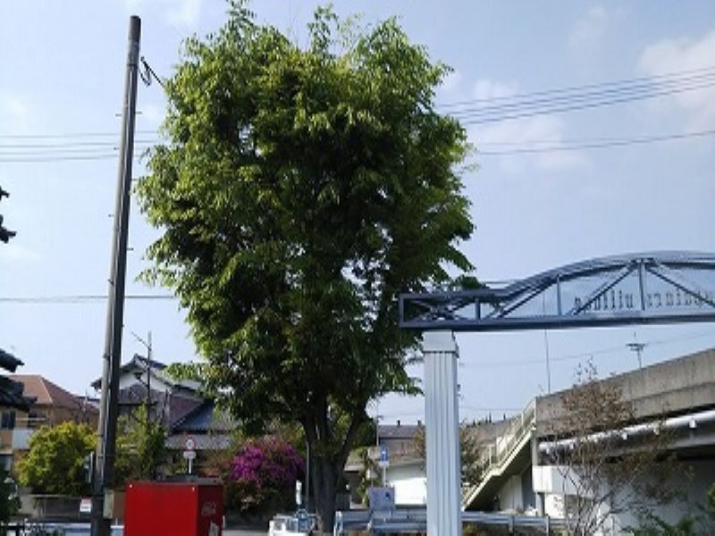 レオパレスレミュール その他