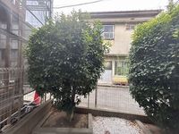レオパレス壽光Ⅱ 眺望