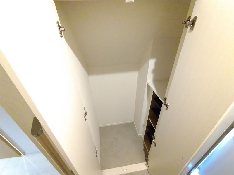 CLEINO Meidaimae Other