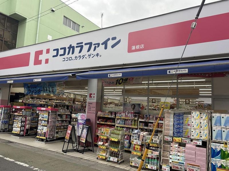 レオネクスト中之郷 周辺環境