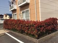 レオパレス紺屋町 外観