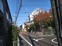 レオネクストソレイユ松原 眺望