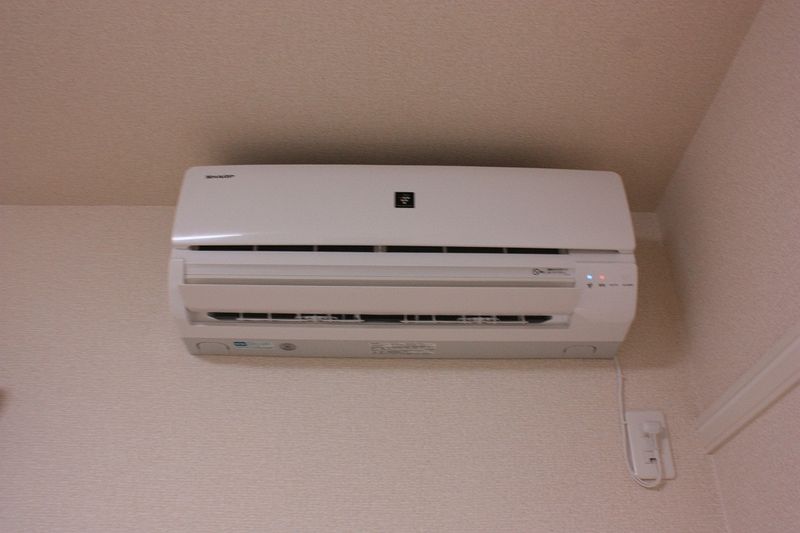 レオネクストル　ソレイユ その他