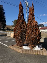 レオパレス榎戸 庭