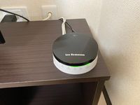 CLEINO Oak Forest 기타