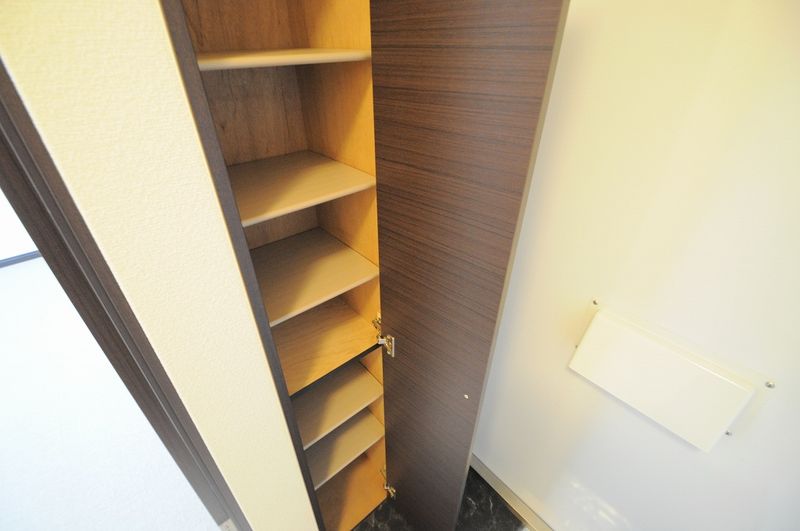 レオネクストエスポワールＴ　Ⅳ 玄関