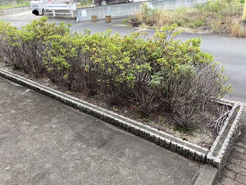 レオパレスアージュ 庭